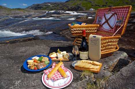 picnic2