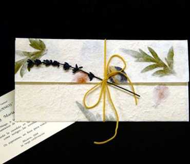 tarjeta5
