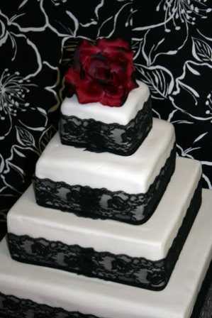 torta-bn7