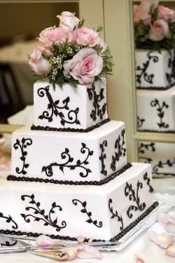 torta-bn8