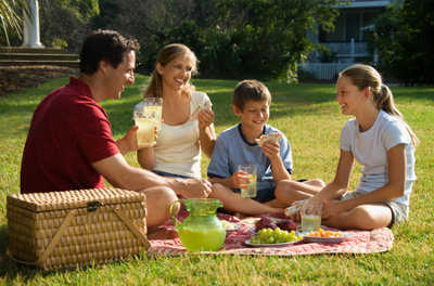 picnic
