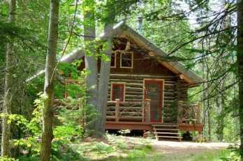 cabañaenelbosque